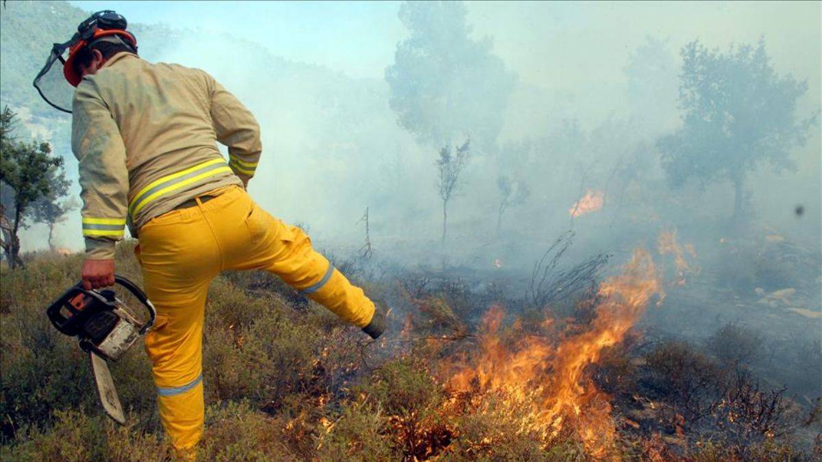Sistemin 'okumuş' köleleri ve 'iklim krizi'