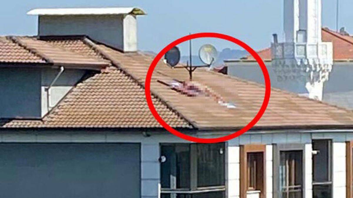 Çatıda çıplak güneşlenen kişi apartmanın sahibi çıktı