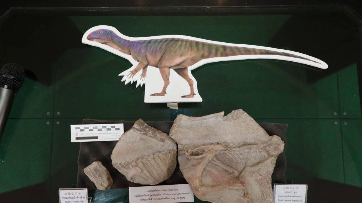 Şimdiye kadar rastlanmış en sağlam dinozor kalıntıları bulundu