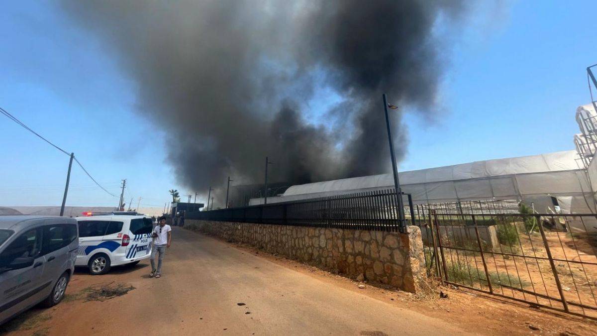 Antalya'da çiçek üretici firmasında yangın