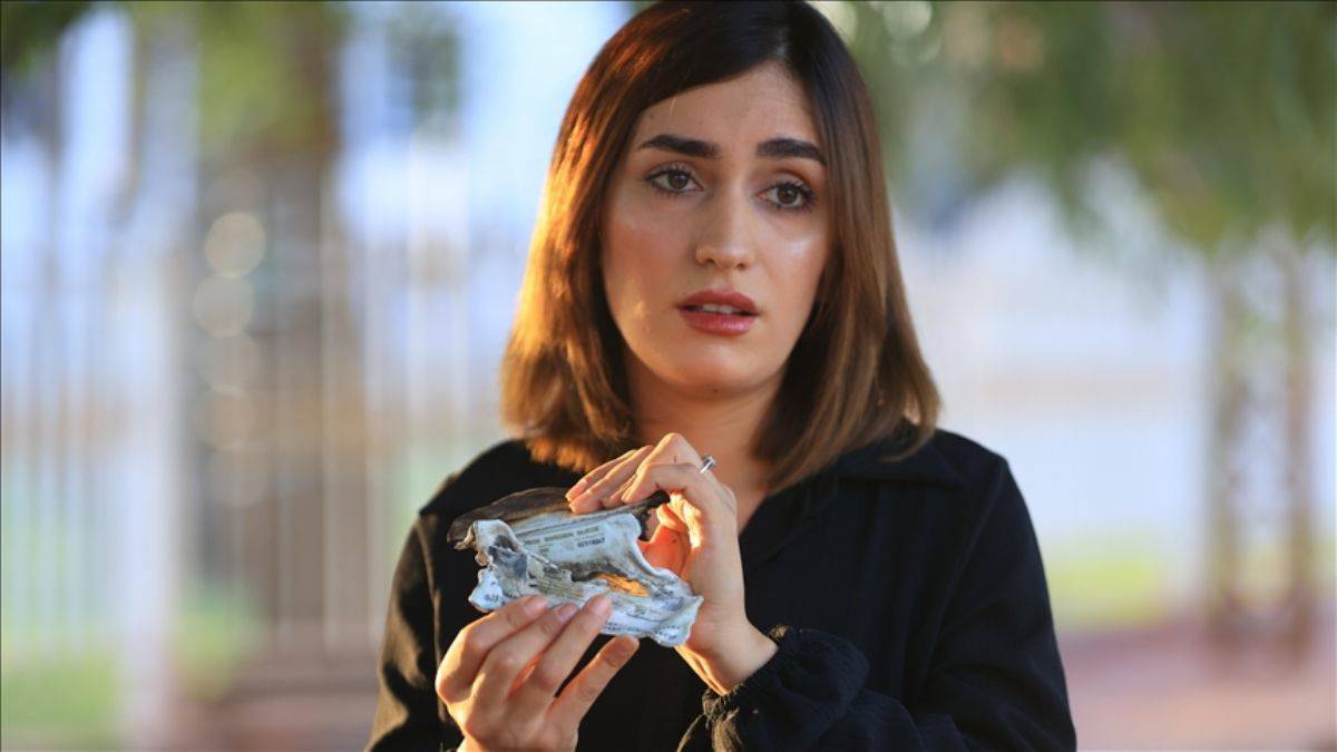 İsveç pasaportunu yakan Iraklı kadın ülkesine döndü