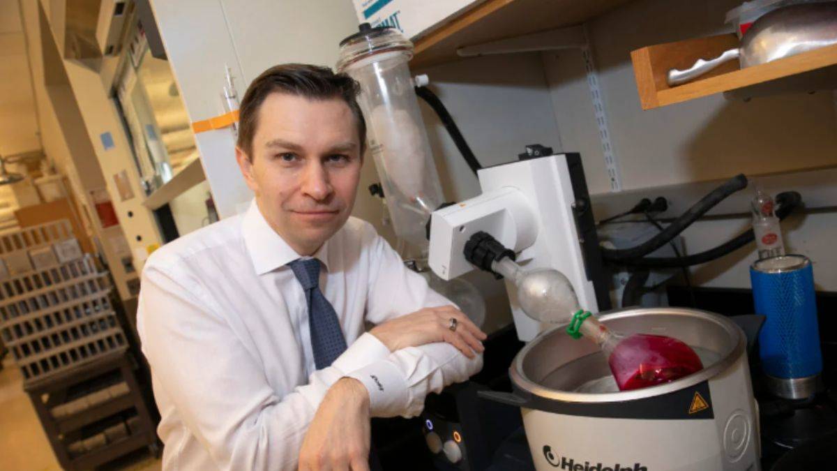 Tek öğünle beslenme