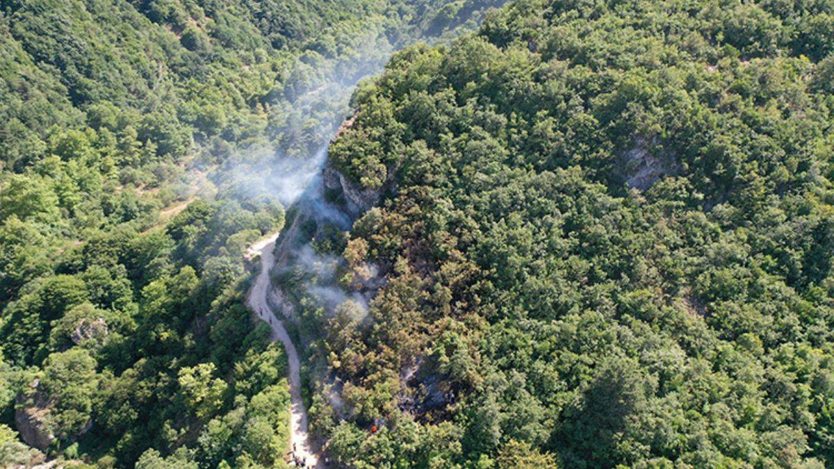 2023'te 1022 orman yangını kaydedildi