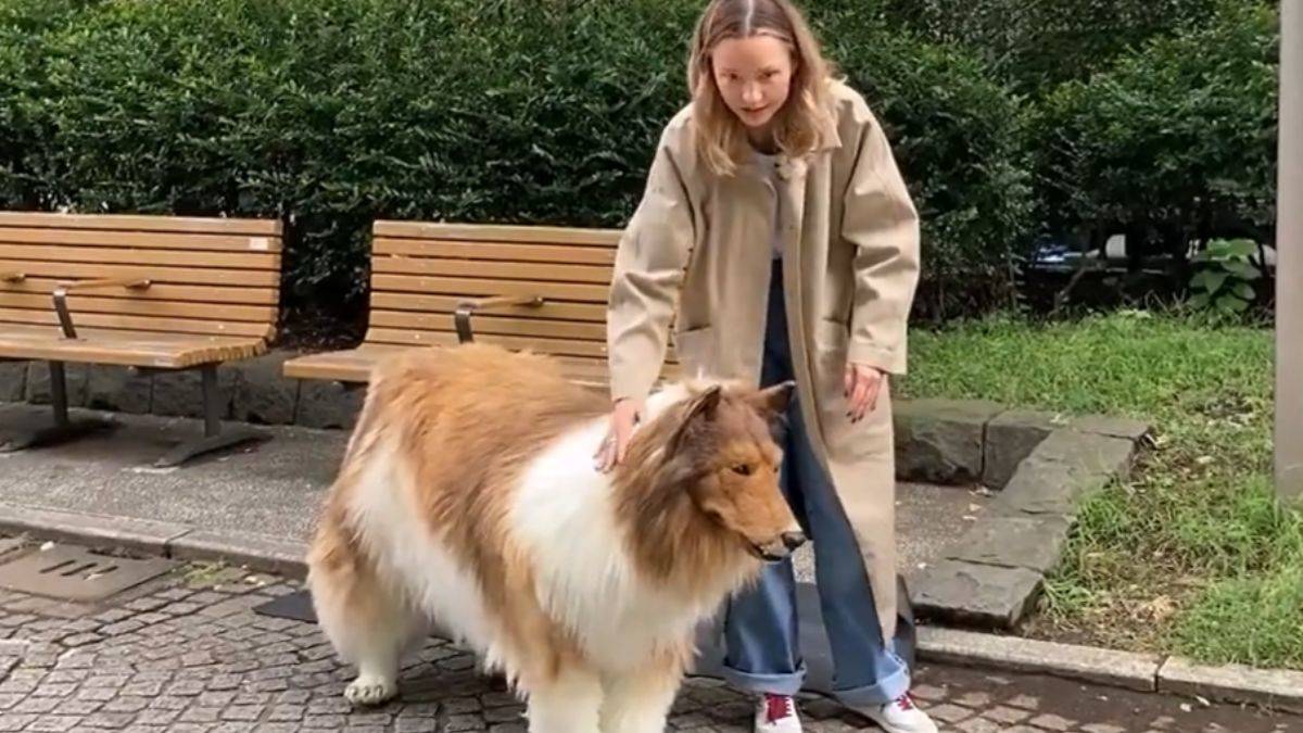 12 bin euro harcayıp, 'köpek' oldu