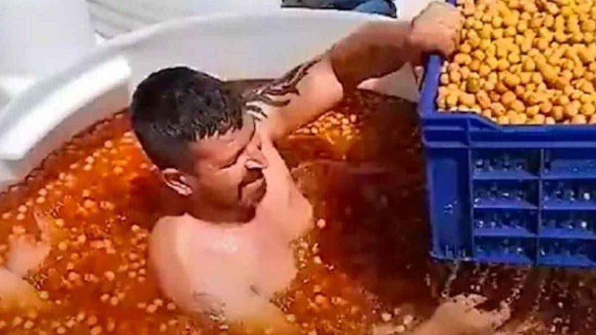 Bakanlıktan 'zeytin tankında sepetleme' açıklaması