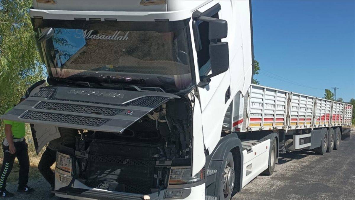 TIR motorunda sıkışan kedi 170 km sonra kurtarıldı