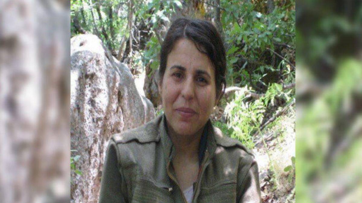 Bakan Yerlikaya duyurdu: Etkisiz hale getirildi