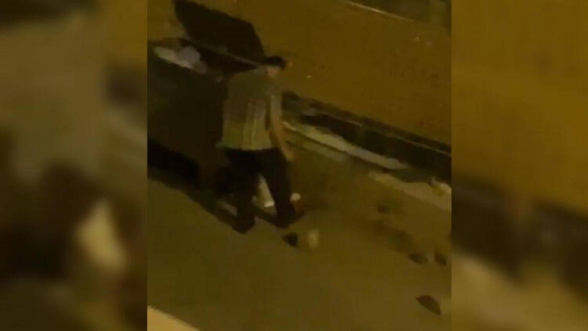 Yavru kedileri ayağıyla ezip öldürdü