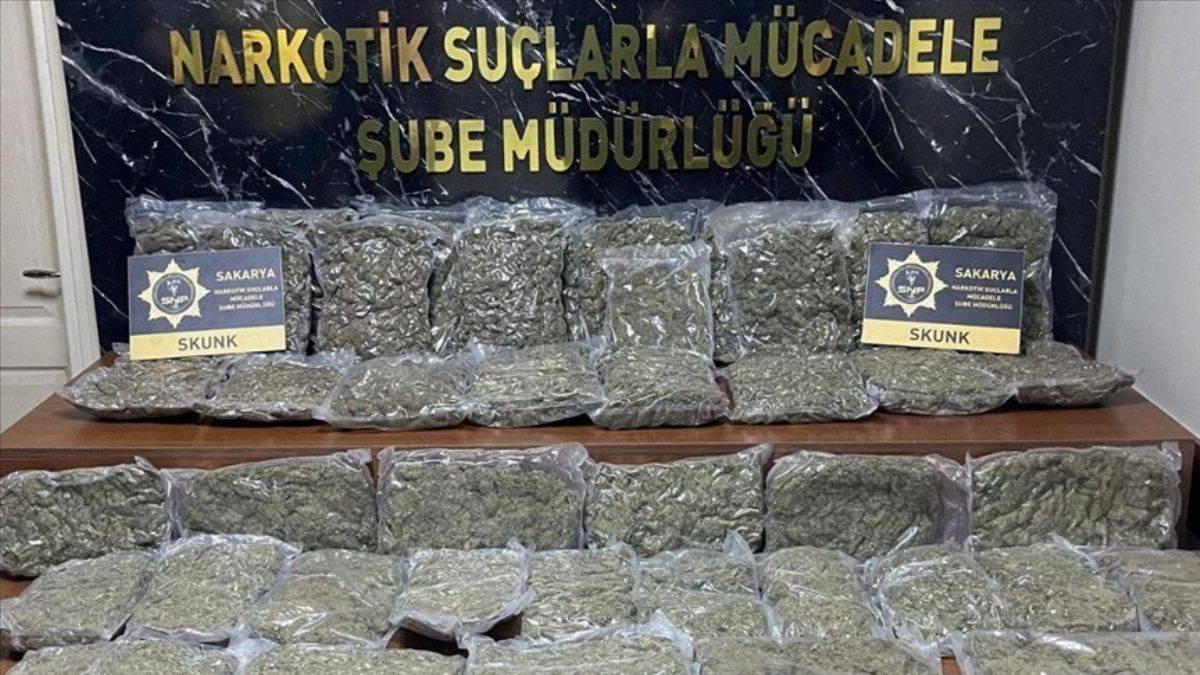 24,5 kilo skunk ele geçirildi