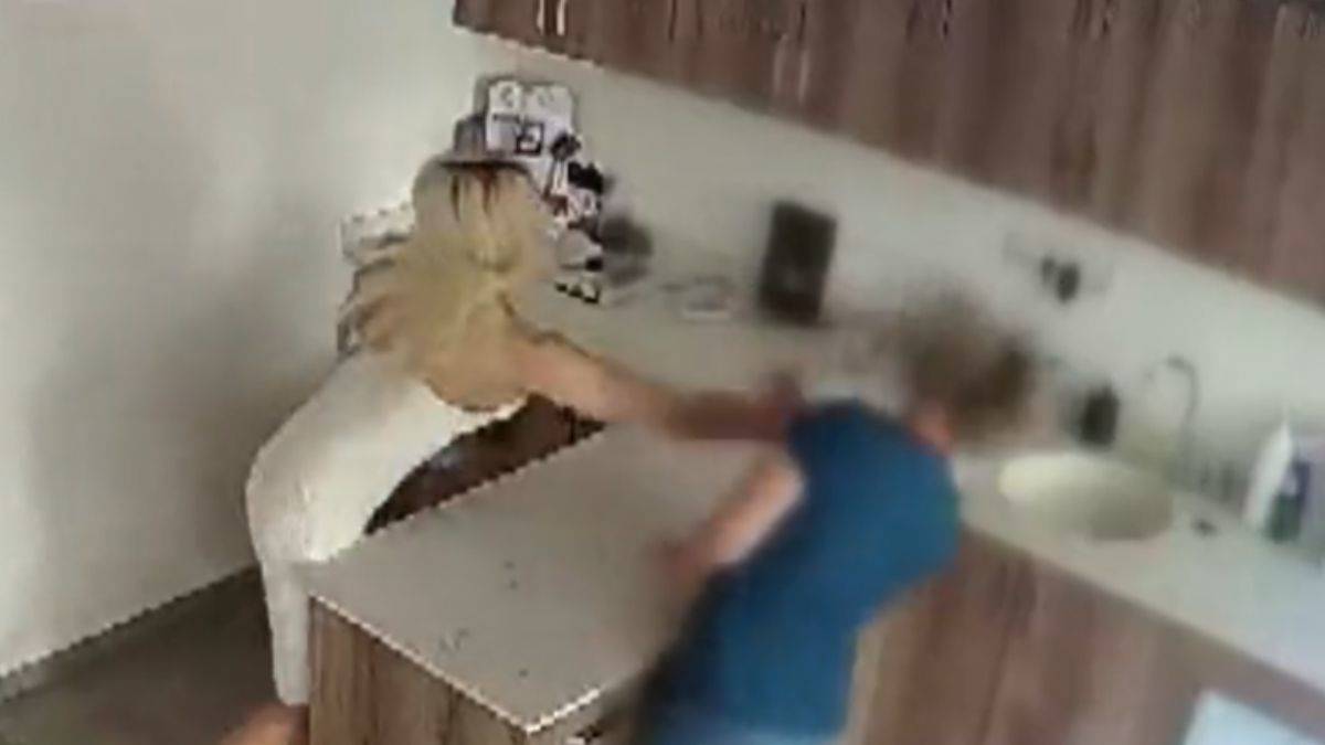 Kedisi ölünce veterinere saldırdı