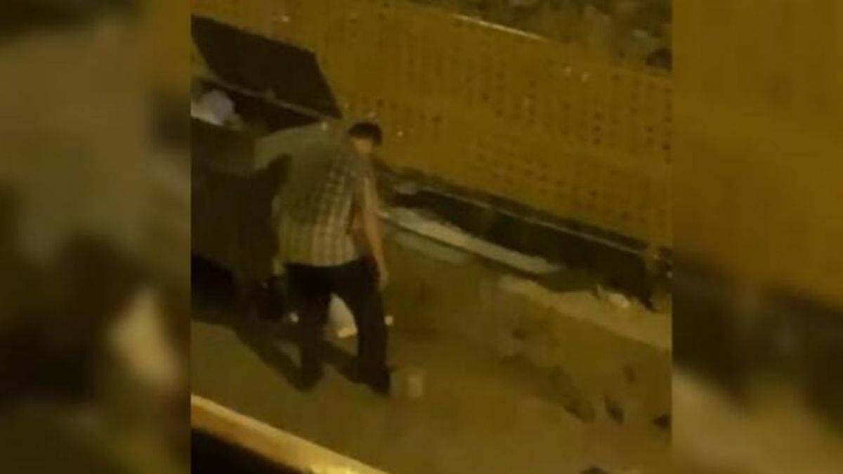 Mahkemeden çıktı, kedi çalmaya kalkışırken yakalandı