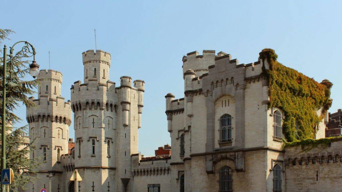 Brüksel'de cezaevini fareler bastı