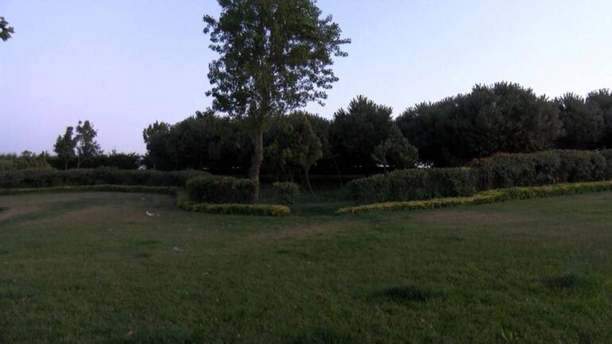 Yol kenarında ağaca asılı kadın cesedi bulundu