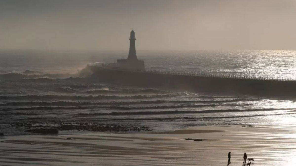 İngiltere'de 2024 Olimpiyatlarında ishal skandalı