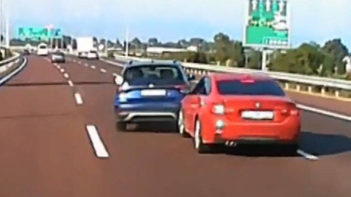 Otoyolda 'it dalaşı'... 'N'apıyorsunuz!'