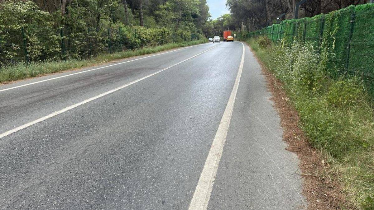 İstanbul'da ormanda kalaşnikoflu pusu: 2 ölü