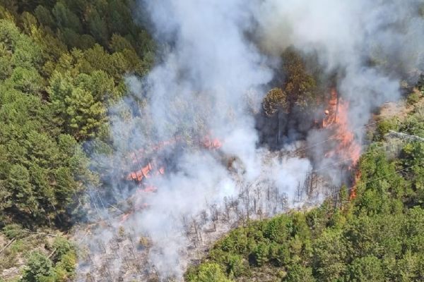 Muğla'da orman yangını: Kontrol altına alınmaya çalışılıyor