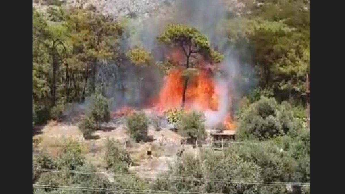 Muğla'daki orman yangınının çıkış anı