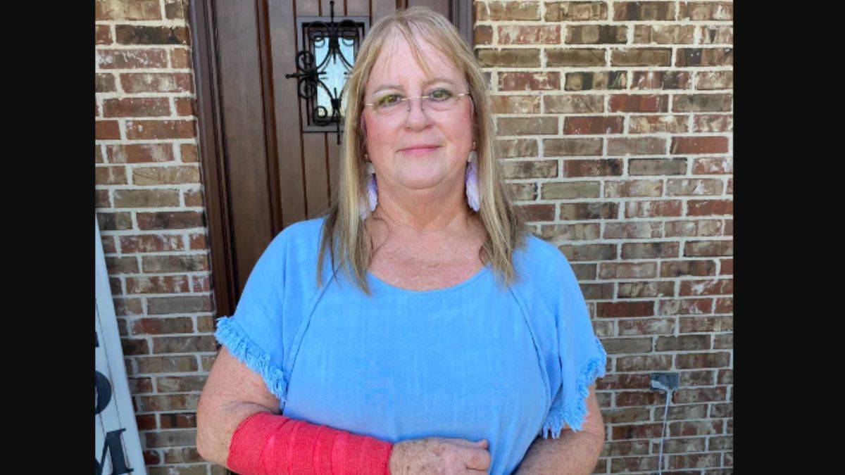 Önce üzerine yılan düştü, ardından şahin saldırdı