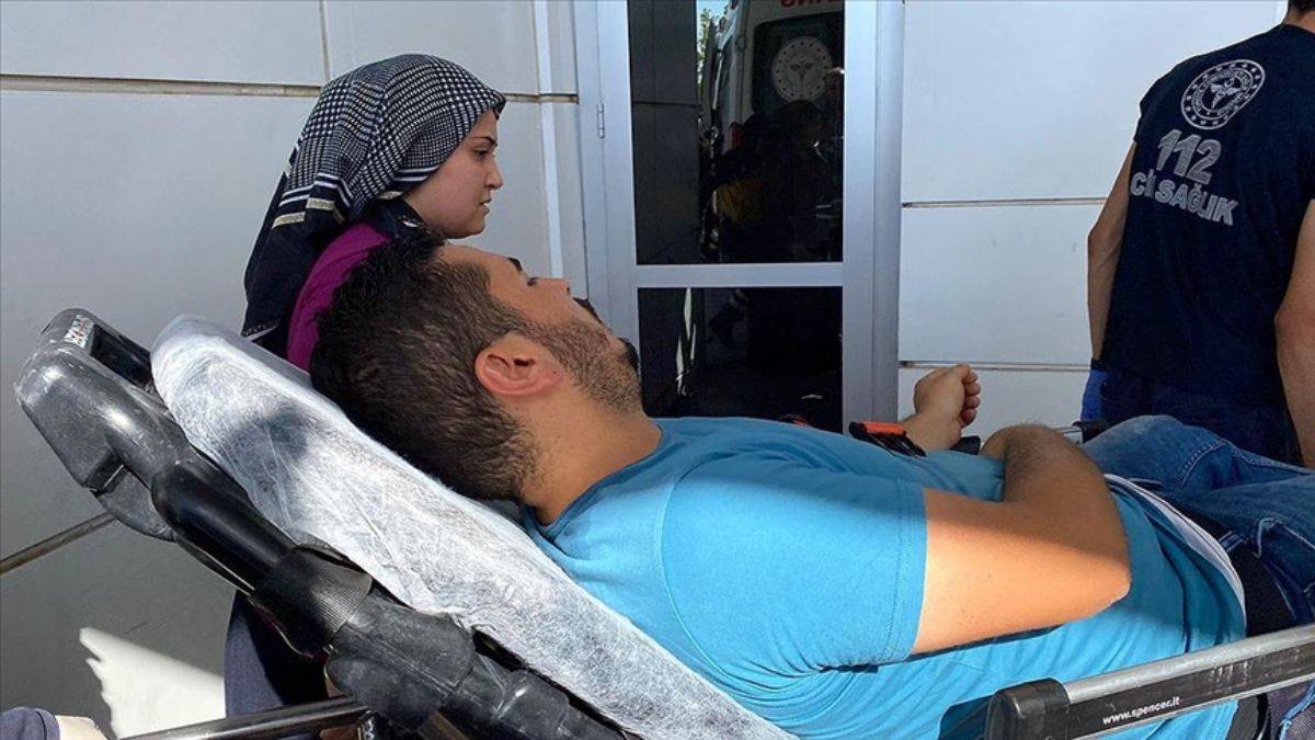 Başıboş köpeklerin saldırdığı adam yaralandı