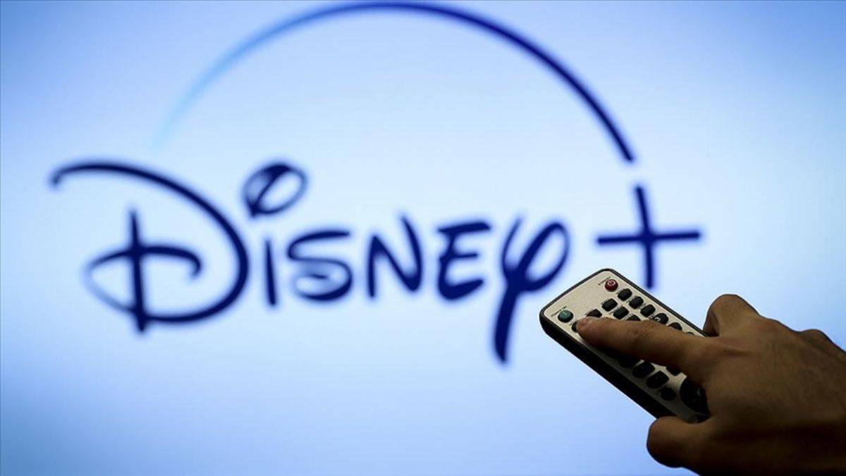 Disney Plus'a Hindistan darbesi