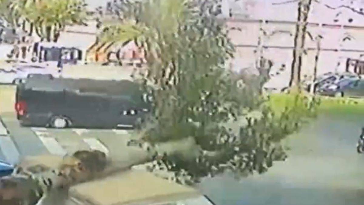 Fatih'te kamyonetin üzerine ağaç devrildi