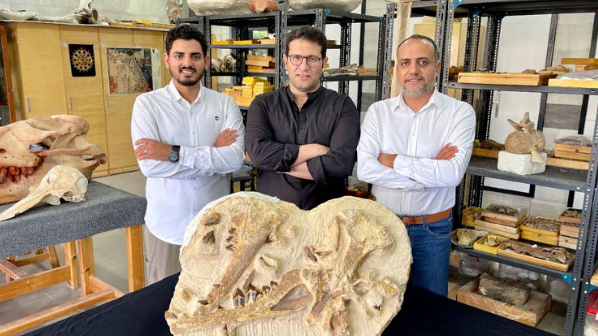 41 milyon yıllık balina fosili bulundu