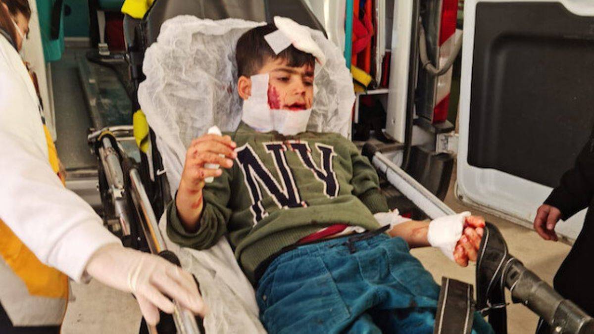 Köpekler ve mama lobisi