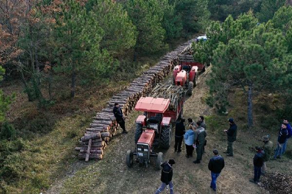 Orman köylülerine müjde: Sadece üçte birini ödeyecekler