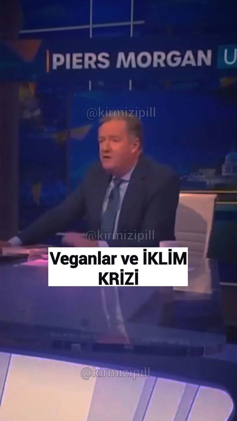 Canlı yayında vegan kadını susturan gazeteci