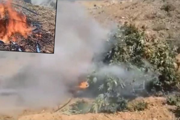 Mücadele kararlılıkla sürüyor... Terör örgütüne 36 milyarlık darbe