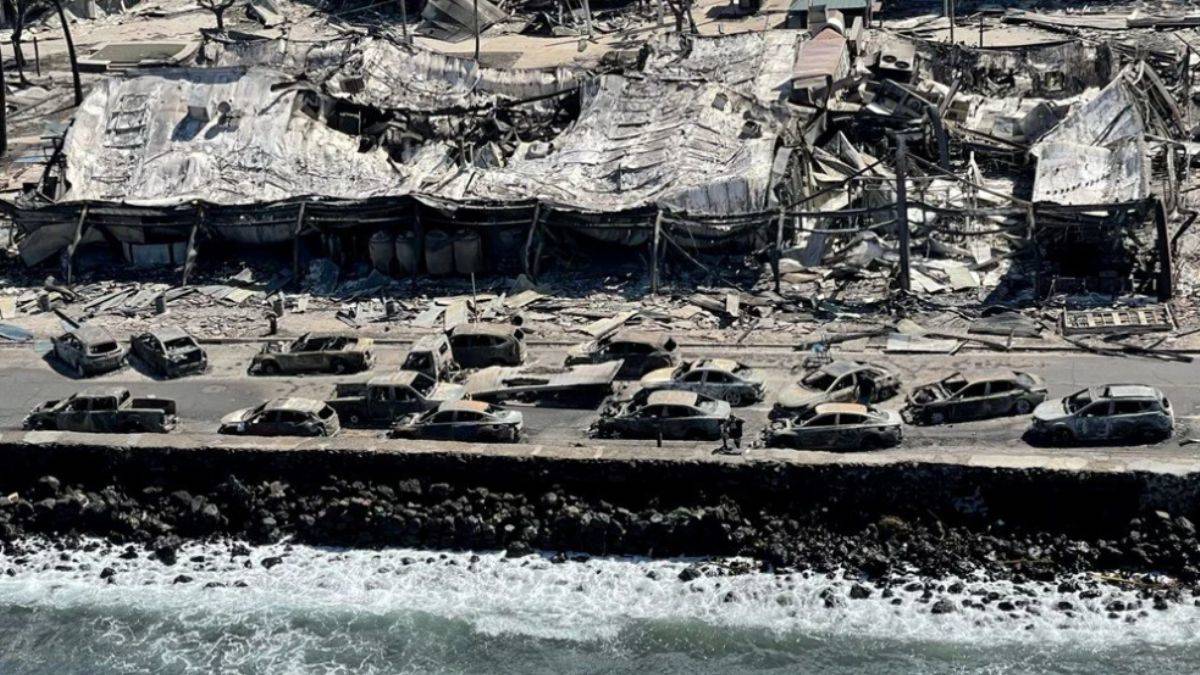 Hawaii küle döndü! Yangından denize atlayarak kaçtılar