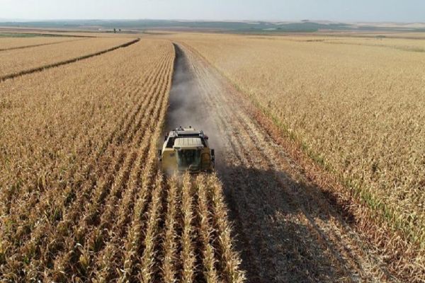 Tarım ürünleri ÜFE rakamları açıklandı