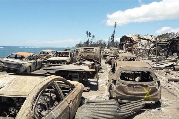 Hawaii'deki orman yangınlarında hayatını kaybedenlerin sayısı 99'a çıktı