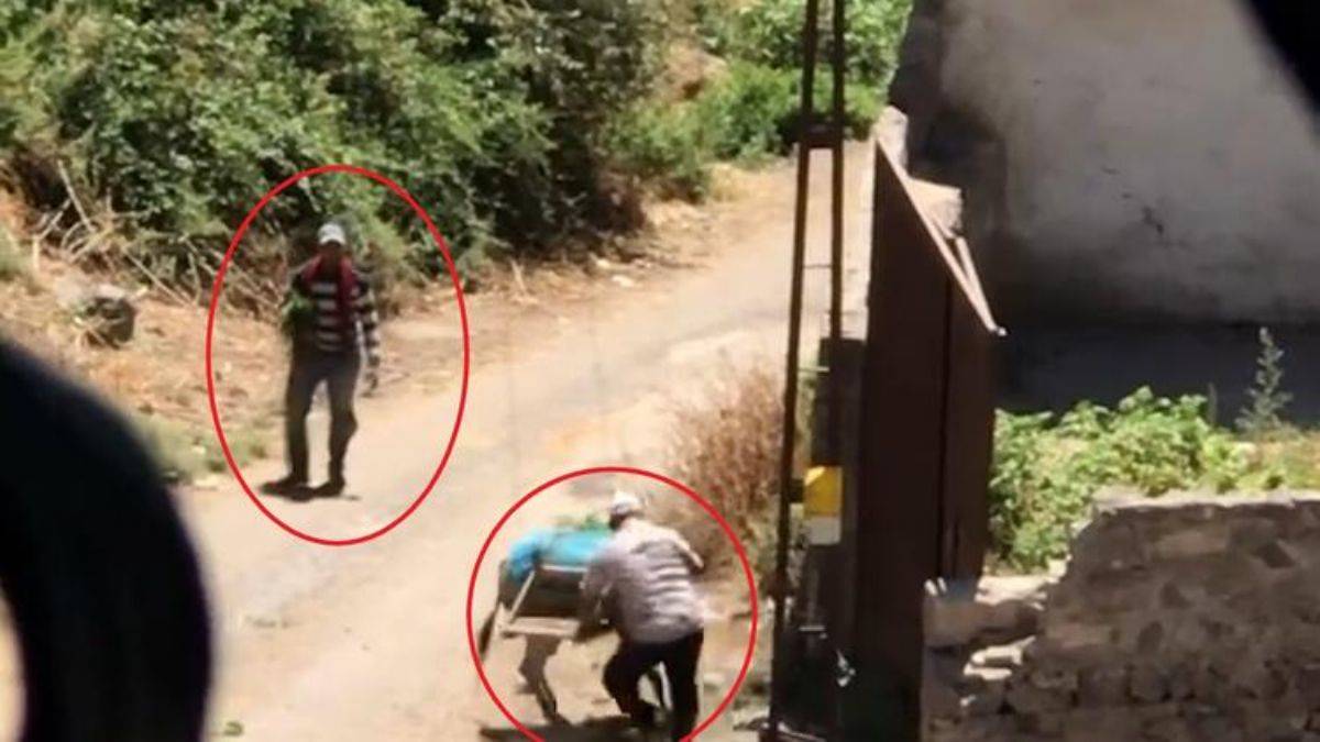 Dövdüğü eşek elinden alındı