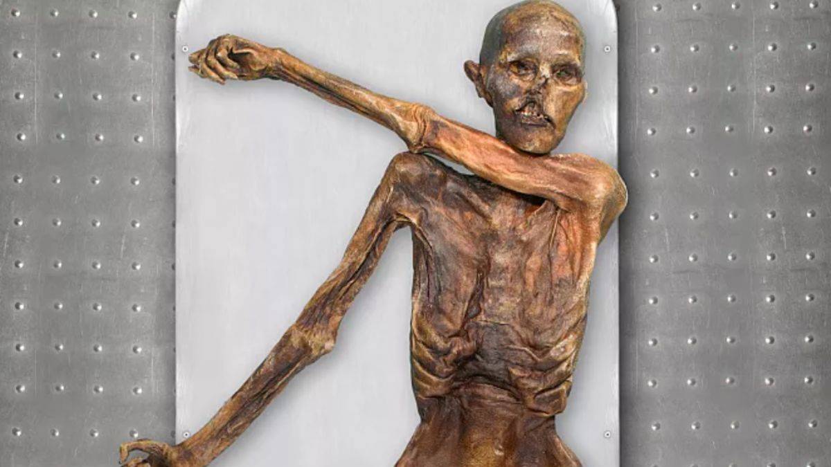 Buzadam Ötzi ile ilgili yeni detaylar: Anadolu'dan geldi