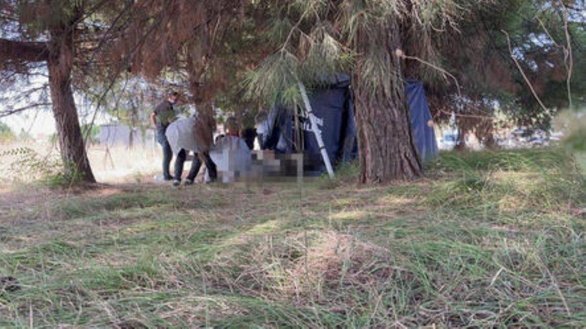 Bursa'da, ormanda erkek cesedi bulundu