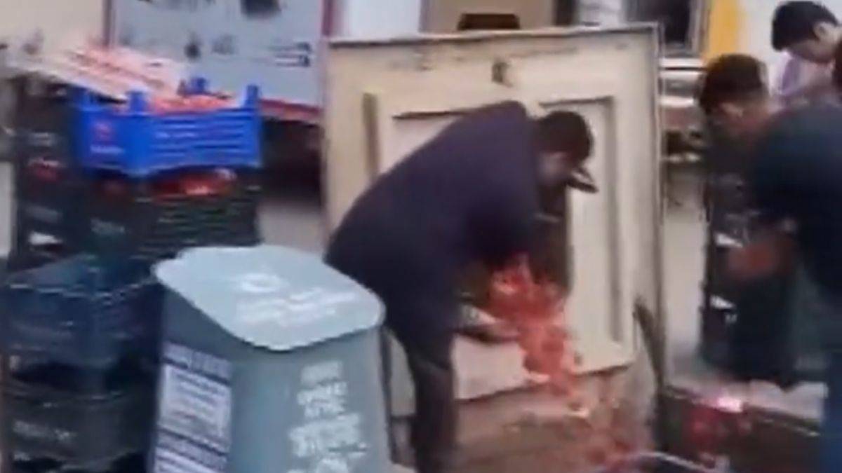 Çöpe dökülen domateslerle ilgili açıklama