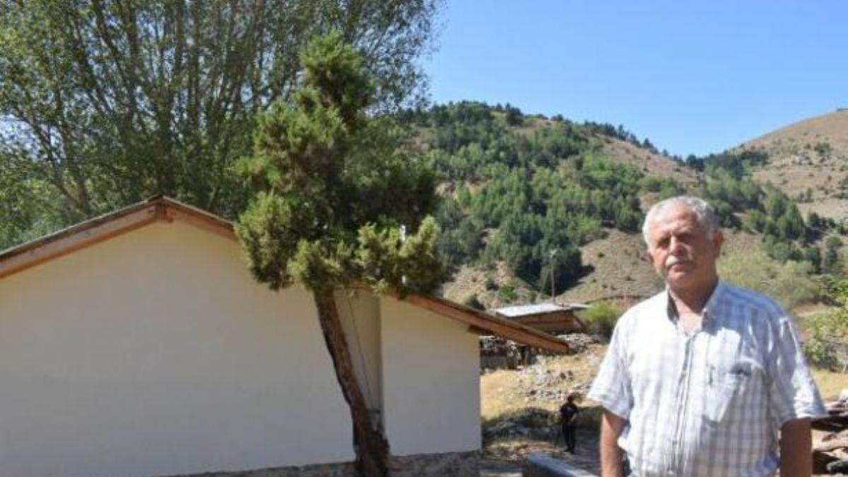 Ağaca kıymadan evini yeniledi