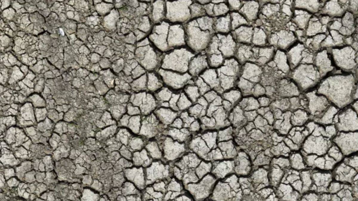 İstanbul barajlarından kuraklık görüntüleri