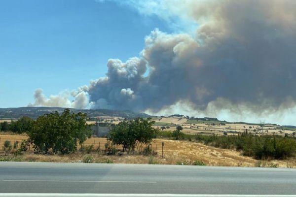 Çanakkale'de orman yangını: Havadan ve karadan müdahale ediliyor