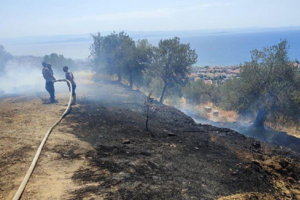 Kazdağları'nda orman yangını