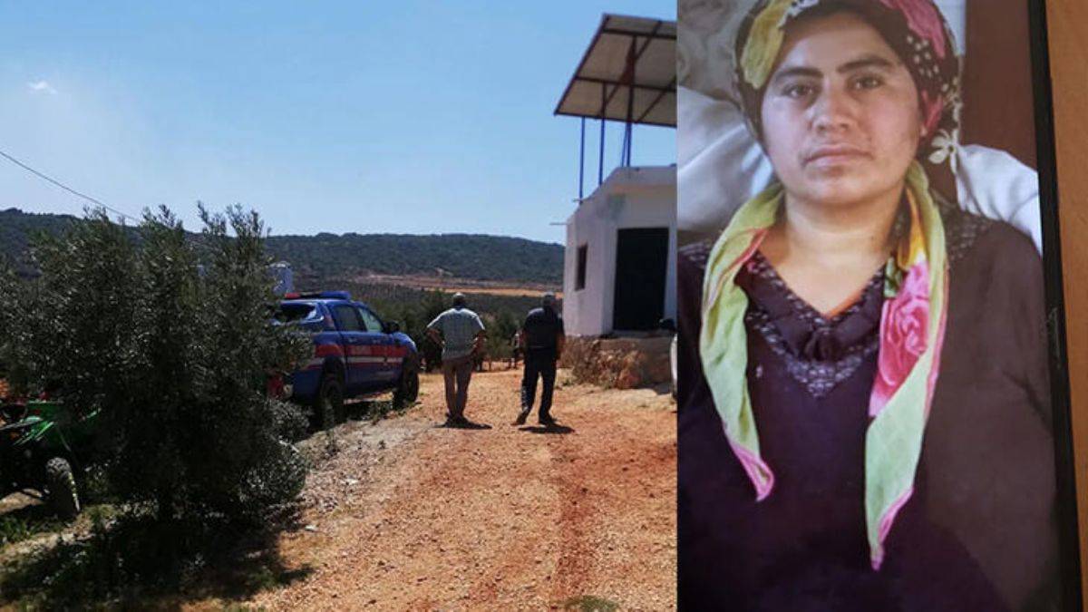 Zeytinlikte ölü bulundu