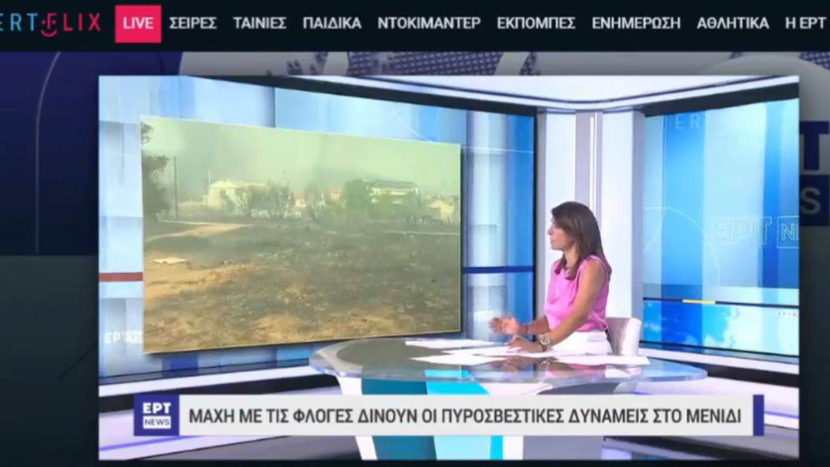 Yunan spiker: Tek hoş olan, sadece kömürleşmiş göçmenler öldü