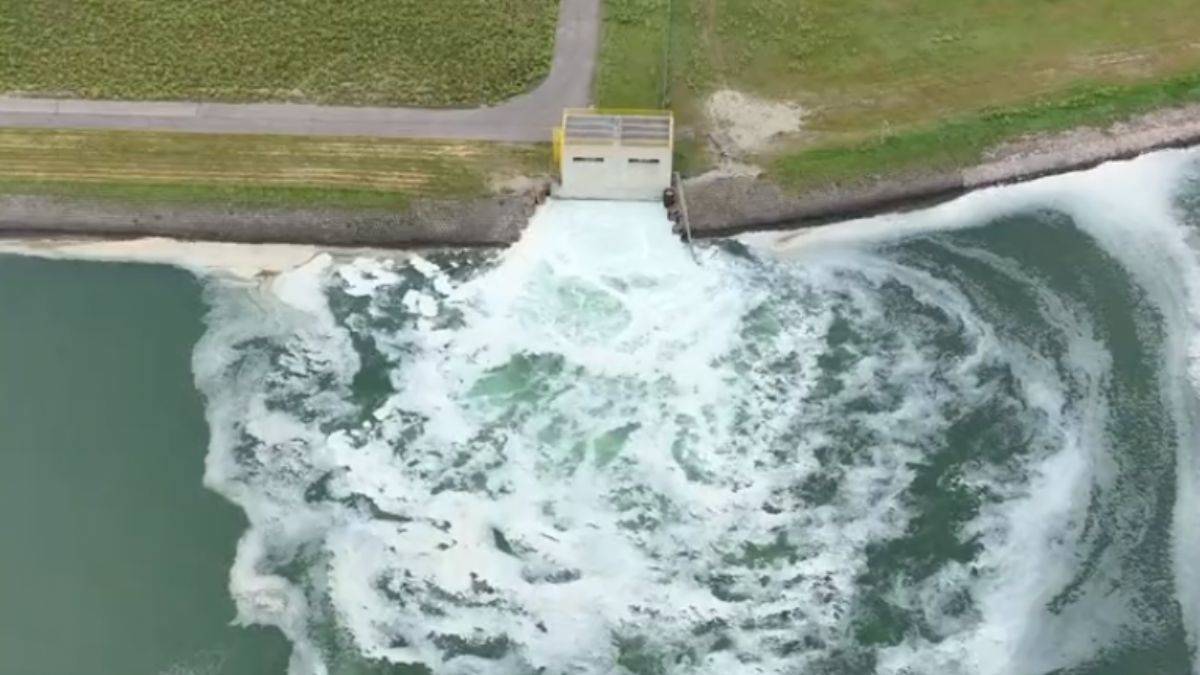 Binlerce ton radyoaktif madde denize boşaltılıyor