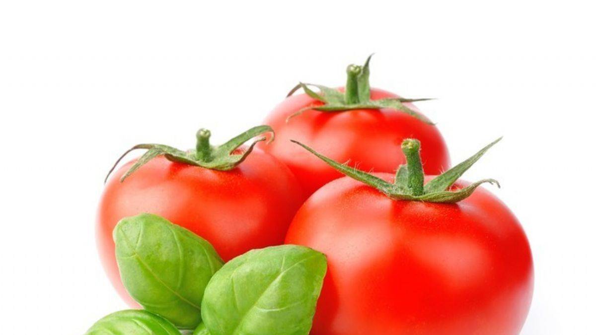 Domateste verim arıyorsanız bunu yapın