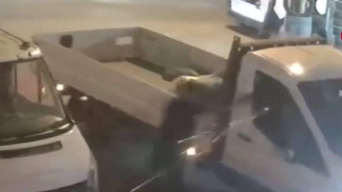 Kuzenini silahla vurarak öldürdü