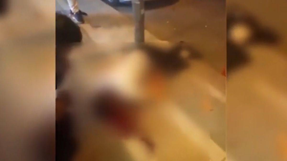 Sokakta boğazından bıçaklanarak öldürüldü