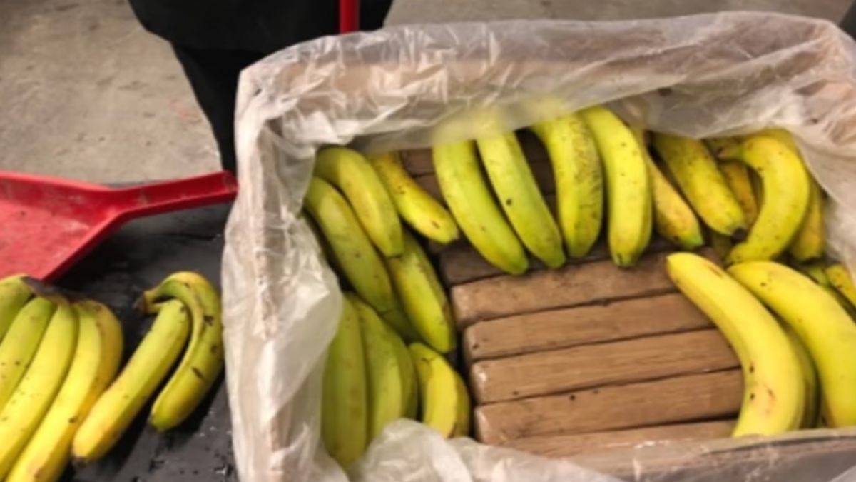 Muz konteynerinde 9 buçuk ton kokain ele geçirildi