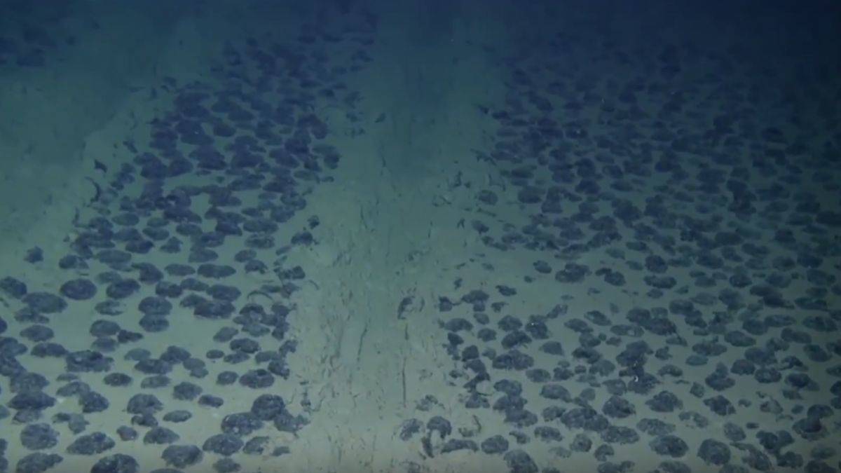 Enerjinin geleceği okyanuslarda